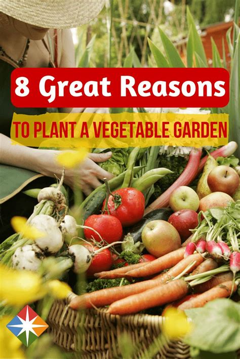 The Benefits Of Growing Your Own Food Grow Your Own Food Food Garden