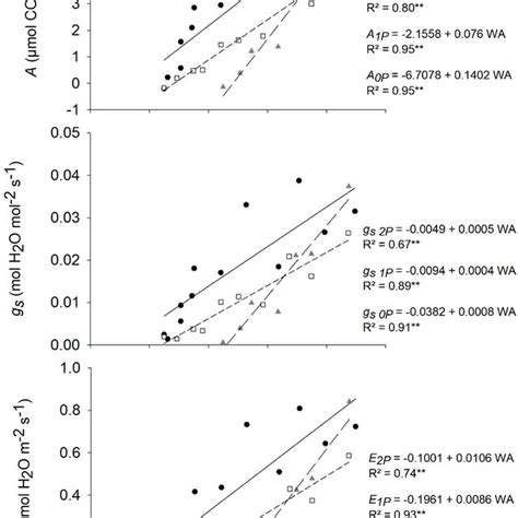 Relationship Between Net Carbon Assimilation Rate A Stomatal