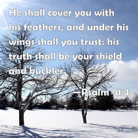 Psalm 91 4 He Shall Cover You With His Feathers And Under His Wings