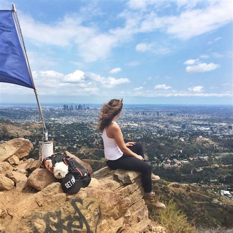 Los Angeles Skyline View From Wisdom Tree Hike LA Le Wild Explorer