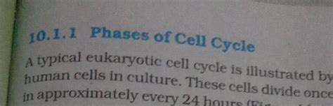 10.1.1 Phases of Cell Cycle A typical eukaryotic cell cycle is illustrate..