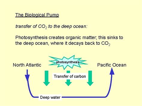 Chapter Part Basics Of Ocean Structure The