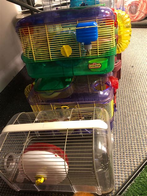 Four Hamster Cages with connecting Tubes and one small pet carrier