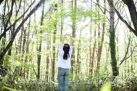 初夏の森でリラックスしながら伸びをする30代日本人女性 （人物）の写真素材 [222154212] イメージマート