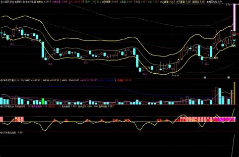 〖双紫擒龙三合一〗副图选股指标 轻松抓牛 共振追涨 通达信 贴图 无未来 加密通达信公式好公式网