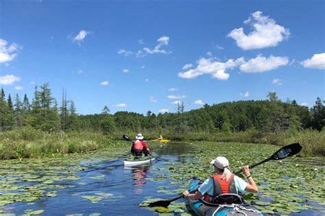 Explore Wisconsins Natural Wonders With Natural Resource Foundation