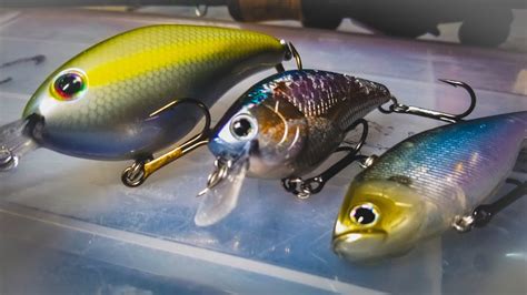 4 Crankbaits That Keep Catching Bass In Fall And Winter Youtube