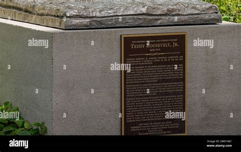 Memorial Statue Of President Teddy Roosevelt At The Alamo In San