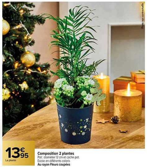 Promo Composition 2 Plantes Chez Carrefour Contact ICatalogue Fr