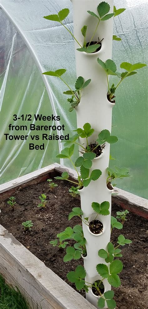 Diy Vertical Hydroponic Tower Garden