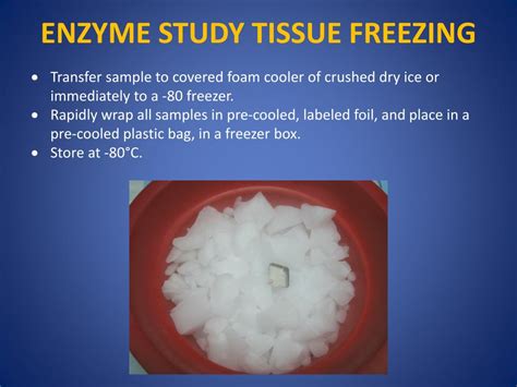 Ppt Tissue Freezing Methods For Cryostat Sectioning Powerpoint