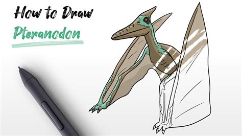 How To Draw A Pteranodon Dinosaur From Jurassic World Pterodactyl