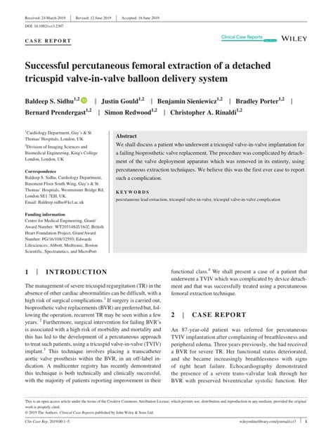 Pdf Successful Percutaneous Femoral Extraction Of A Detached