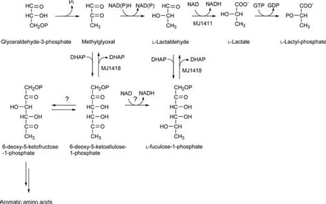 Lactaldehyde Alchetron The Free Social Encyclopedia