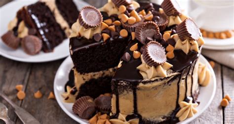 Chocolate Peanut Butter Overload Cake The Ultimate Guide To The