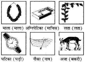 RBSE Solutions for Class 6 Sanskrit Chapter 3 आकरनत