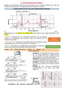 Capítulo 11 Electrocardiograma Guyton Hall Docsity