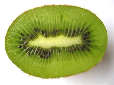 Kiwi Half Stock Photo Image Of Life Healthy Fresh 13470666