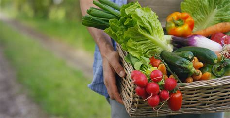 Arras un week end dédié la production locale et solidaire La