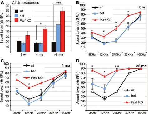 Pls1 Ko Mice Have A Moderate And Progressive Form Of Hearing Loss Download Scientific Diagram