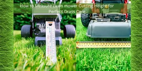 How To Measure Lawn Mower Cutting Height For Perfect Grass Care