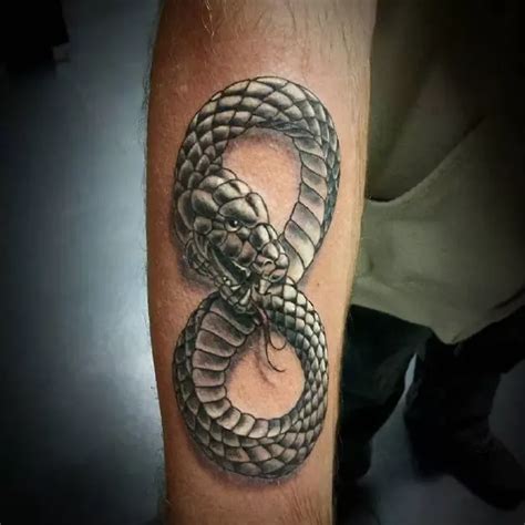 Best World Serpent Tattoos Snake Eating Itself Tattoo Designs