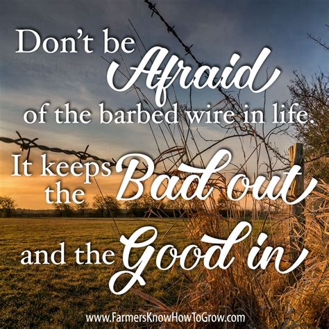 Dont Be Afraid Of The Barbed Wire In Life It Keeps The Bad Out And