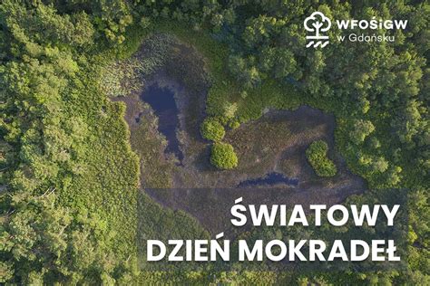 Dzia Ania Na Mokrad Ach Dla Ludzi I Przyrody Wiatowy Dzie Obszar W