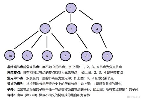 数据结构之二叉树 超详细的教程，手把手教你认识并运用二叉树二叉树教程 Csdn博客