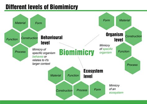 BIOMIMICRY FASHION :: Behance