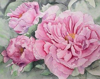 White Pink Peony Watercolor Painting Print By Cathy Hillegas X