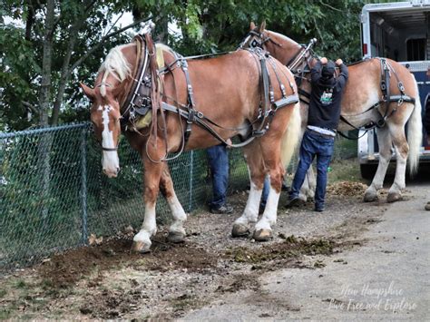 The Deerfield Fair Deerfield Nh New Hampshire Live Free And Explore