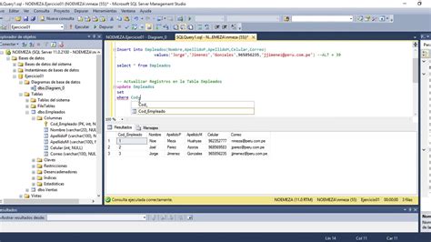 Insertar Actualizar Y Eliminar Registros En SQL SERVER 2012 YouTube