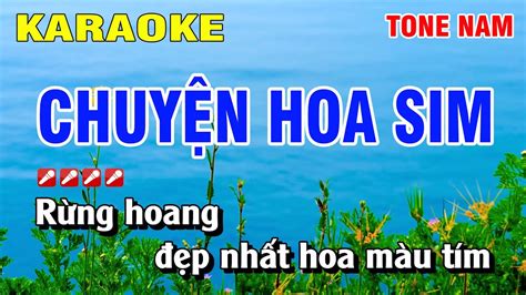 Karaoke Chuy N Hoa Sim Tone Nam Nh C S Ng Ho Ng Lu N Youtube