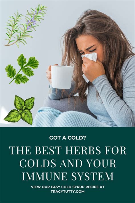 The Best Herbs For Colds And Your Immune System In 2021 Herbs For