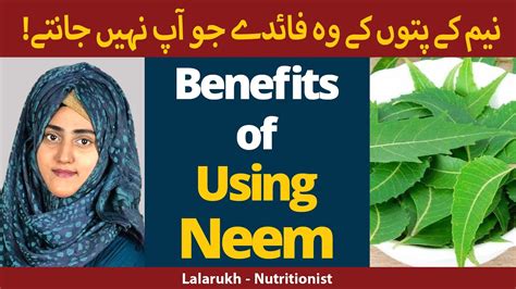 Neem Ke Patte Ke Fayde Health Benefits Of Neem In Urdu Hindi Use Of Neem Youtube