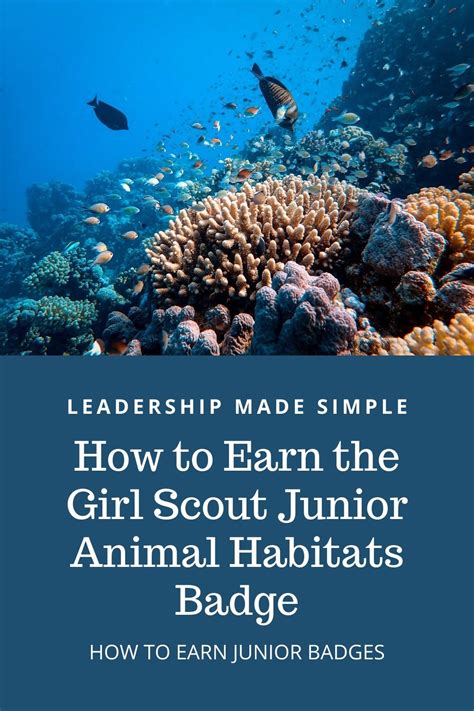 How to Earn Junior Girl Scout Badges: How to Earn the Girl Scout Junior ...