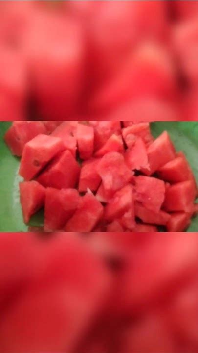 தர்பூசணி🍉தர்பூசணி🍉குளிர்ச்சிதரும் 🍉 தர்பூசணி😂😂youtube Shortsminivlogtrendingviral Youtube