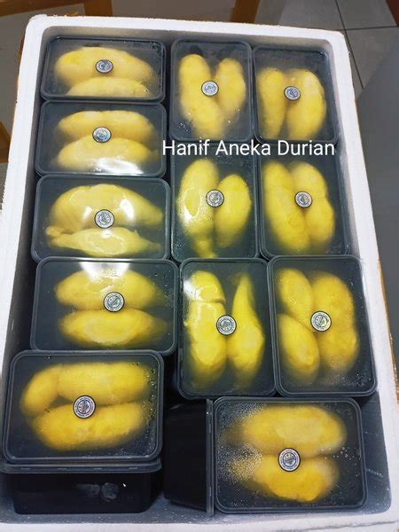 Jual Durian Montong Bali Premium Di Lapak Hanif Aneka Durian Bukalapak