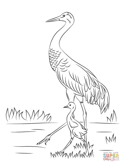 Sandhill Crane With Cute Baby Chick Coloring Page Free Printable