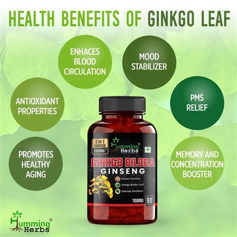 Ginkgo Biloba Ginseng 90 Capsule 3 In 1 1180mg Humming Herbs