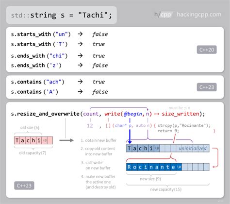 Std String C Interface Novelties Dev Community