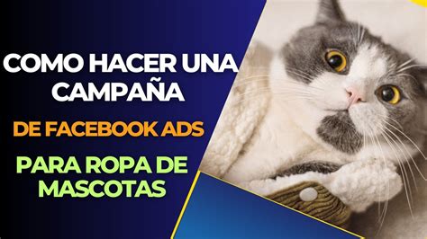 Como Segmentar Ropa De Mascotas En Facebook Ads Con Ayuda De