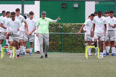 Palmeiras X Queimadense Onde Assistir Ao Verd O Na Copinha