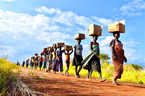 Feed My Starving Children Global Impact