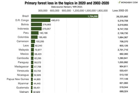 Global Forest Loss Increases In 2020