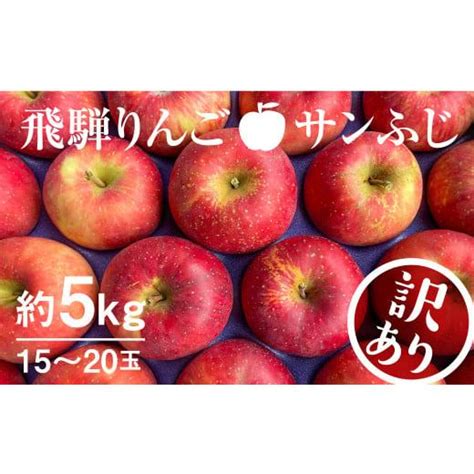 ふるさと納税 岐阜県 飛騨市 【11月下旬から1月上旬発送】《訳あり》りんご サンふじ 約5kg 15〜20玉 飛騨りんご 林檎 黒内果樹園