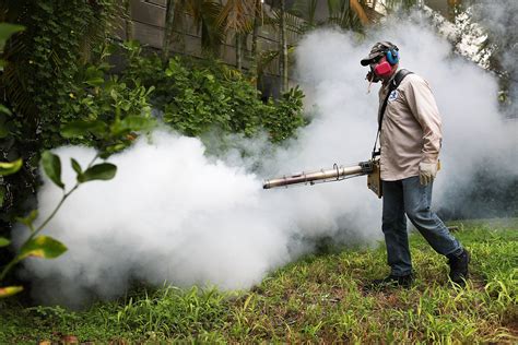 Zika Puts Billion In Africa And Asia At Risk Study Newsweek