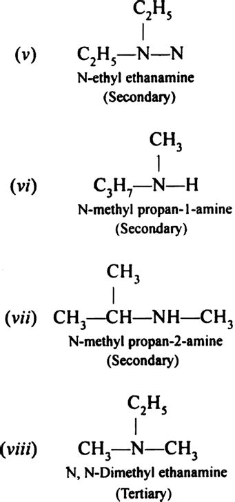 Write Iupac Names Of All The Isomers From Chemistry Amines