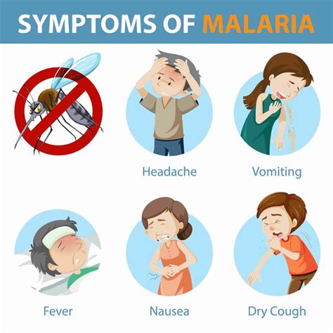 Symptoms Of Malaria